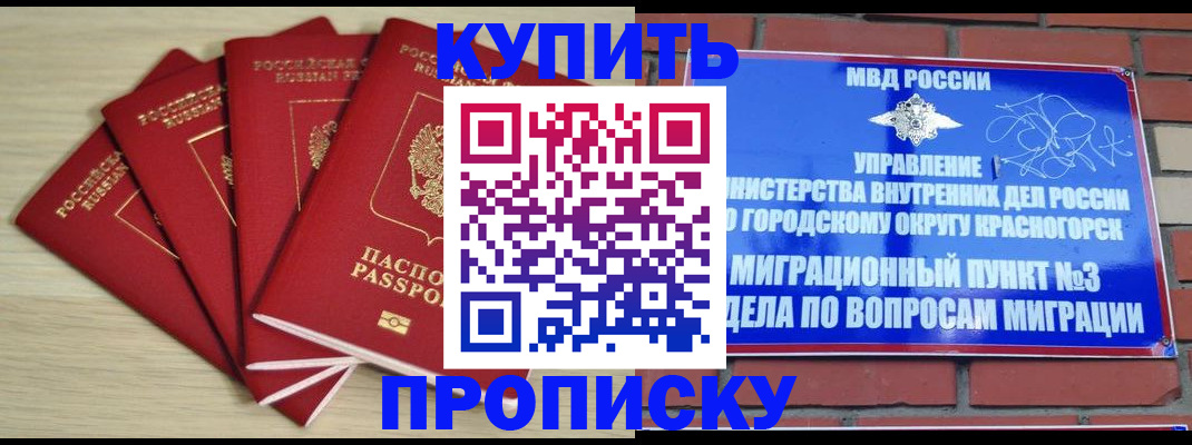 временная регистрация для всех в Плавске